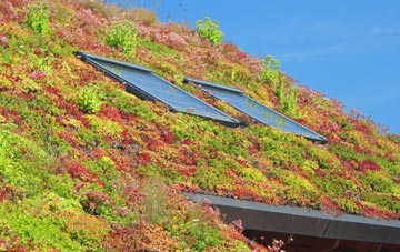 Whitley Heath living roof systems