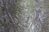 Whitley Heath fibreglass roof work